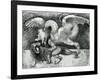 Dragon Fighting a Lion-Andrea Zoan-Framed Giclee Print