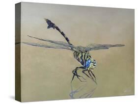 Dragon fly, 2009-Odile Kidd-Stretched Canvas