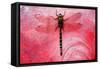 Dragon Fly on a Flower-null-Framed Stretched Canvas