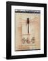 Dragon Fly-Julie Nightingale-Framed Art Print