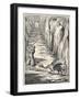 Dragon from the Caves of Mount Pilatus Switzerland-Athanasius Kircher-Framed Art Print