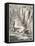 Dragon from the Caves of Mount Pilatus Switzerland-Athanasius Kircher-Framed Stretched Canvas