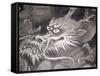 Dragon Head, Kyoto, Japan-Shin Terada-Framed Stretched Canvas