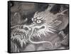 Dragon Head, Kyoto, Japan-Shin Terada-Framed Stretched Canvas