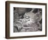 Dragon Head, Kyoto, Japan-Shin Terada-Framed Photographic Print