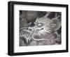 Dragon Head, Kyoto, Japan-Shin Terada-Framed Photographic Print