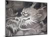 Dragon Head, Kyoto, Japan-Shin Terada-Mounted Photographic Print