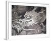 Dragon Head, Kyoto, Japan-Shin Terada-Framed Photographic Print