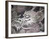 Dragon Head, Kyoto, Japan-Shin Terada-Framed Photographic Print