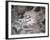 Dragon Head, Kyoto, Japan-Shin Terada-Framed Photographic Print