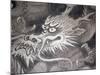 Dragon Head, Kyoto, Japan-Shin Terada-Mounted Photographic Print