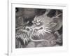 Dragon Head, Kyoto, Japan-Shin Terada-Framed Photographic Print