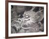 Dragon Head, Kyoto, Japan-Shin Terada-Framed Photographic Print