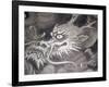 Dragon Head, Kyoto, Japan-Shin Terada-Framed Photographic Print