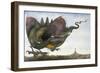 Dragon in Flight, 1979-Wayne Anderson-Framed Giclee Print