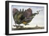 Dragon in Flight, 1979-Wayne Anderson-Framed Giclee Print