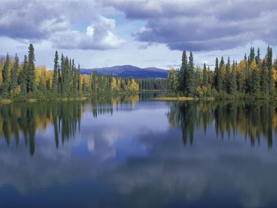 Premium Photographic Print, , large