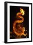 Dragon lantern, Hoi An, Vietnam-David Wall-Framed Photographic Print