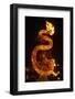 Dragon lantern, Hoi An, Vietnam-David Wall-Framed Photographic Print