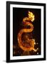 Dragon lantern, Hoi An, Vietnam-David Wall-Framed Photographic Print