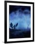 Dragon Myst-Julie Fain-Framed Art Print