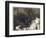 Dragon of Hesperides-Arthur Rackham-Framed Photographic Print