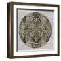 Dragon Skin-Tom Reeves-Framed Art Print