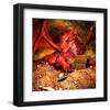 Dragon Smaug & Erebor Treasure-null-Framed Art Print