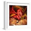 Dragon Smaug & Erebor Treasure-null-Framed Art Print