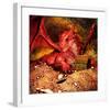 Dragon Smaug & Erebor Treasure-null-Framed Art Print