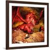 Dragon Smaug & Erebor Treasure-null-Framed Art Print