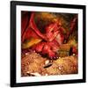 Dragon Smaug & Erebor Treasure-null-Framed Art Print