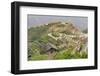 Dragon Spine Rice Terraces Longsheng, China-Michael DeFreitas-Framed Photographic Print