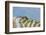 Dragon Spine Rice Terraces Longsheng, China-Michael DeFreitas-Framed Photographic Print