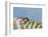 Dragon Spine Rice Terraces Longsheng, China-Michael DeFreitas-Framed Photographic Print