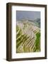 Dragon Spine Rice Terraces, Longsheng, China-Michael DeFreitas-Framed Photographic Print