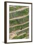 Dragon Spine Rice Terraces, Longsheng, China-Michael DeFreitas-Framed Photographic Print