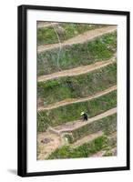 Dragon Spine Rice Terraces, Longsheng, China-Michael DeFreitas-Framed Photographic Print