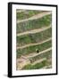 Dragon Spine Rice Terraces, Longsheng, China-Michael DeFreitas-Framed Photographic Print