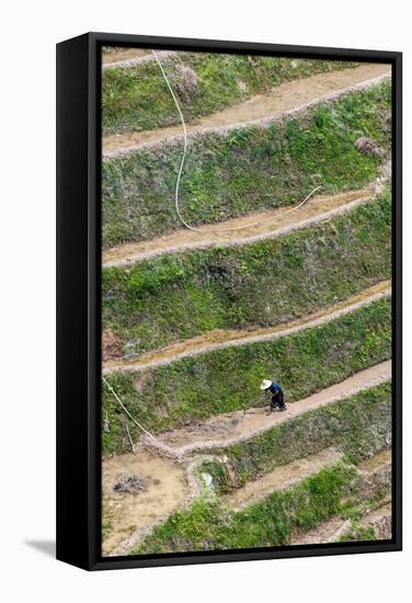 Dragon Spine Rice Terraces, Longsheng, China-Michael DeFreitas-Framed Stretched Canvas