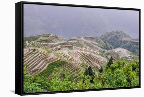 Dragon Spine Rice Terraces, Longsheng, Guangxi, China, Asia-Michael DeFreitas-Framed Stretched Canvas