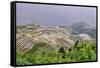 Dragon Spine Rice Terraces, Longsheng, Guangxi, China, Asia-Michael DeFreitas-Framed Stretched Canvas