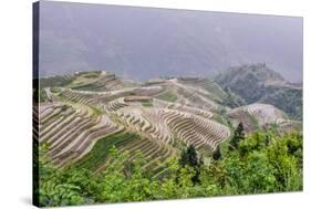 Dragon Spine Rice Terraces, Longsheng, Guangxi, China, Asia-Michael DeFreitas-Stretched Canvas