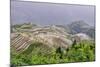 Dragon Spine Rice Terraces, Longsheng, Guangxi, China, Asia-Michael DeFreitas-Mounted Photographic Print