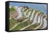 Dragon Spine Rice Terraces, Longsheng, Guangxi, China, Asia-Michael DeFreitas-Framed Stretched Canvas