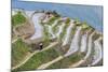 Dragon Spine Rice Terraces, Longsheng, Guangxi, China, Asia-Michael DeFreitas-Mounted Photographic Print