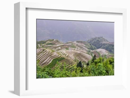 Dragon Spine Rice Terraces, Longsheng, Guangxi, China, Asia-Michael DeFreitas-Framed Photographic Print