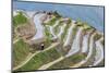 Dragon Spine Rice Terraces, Longsheng, Guangxi, China, Asia-Michael DeFreitas-Mounted Photographic Print