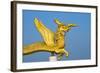 Dragon statue in Golden Temple, Chittagong Division, Bangladesh-Keren Su-Framed Photographic Print