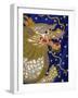 Dragon Tapestry, Bangkok, Thailand, Southeast Asia, Asia-Godong-Framed Photographic Print